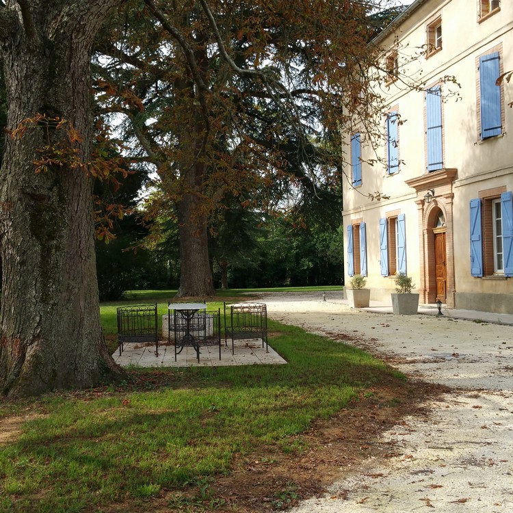 Détente sous les marronniers