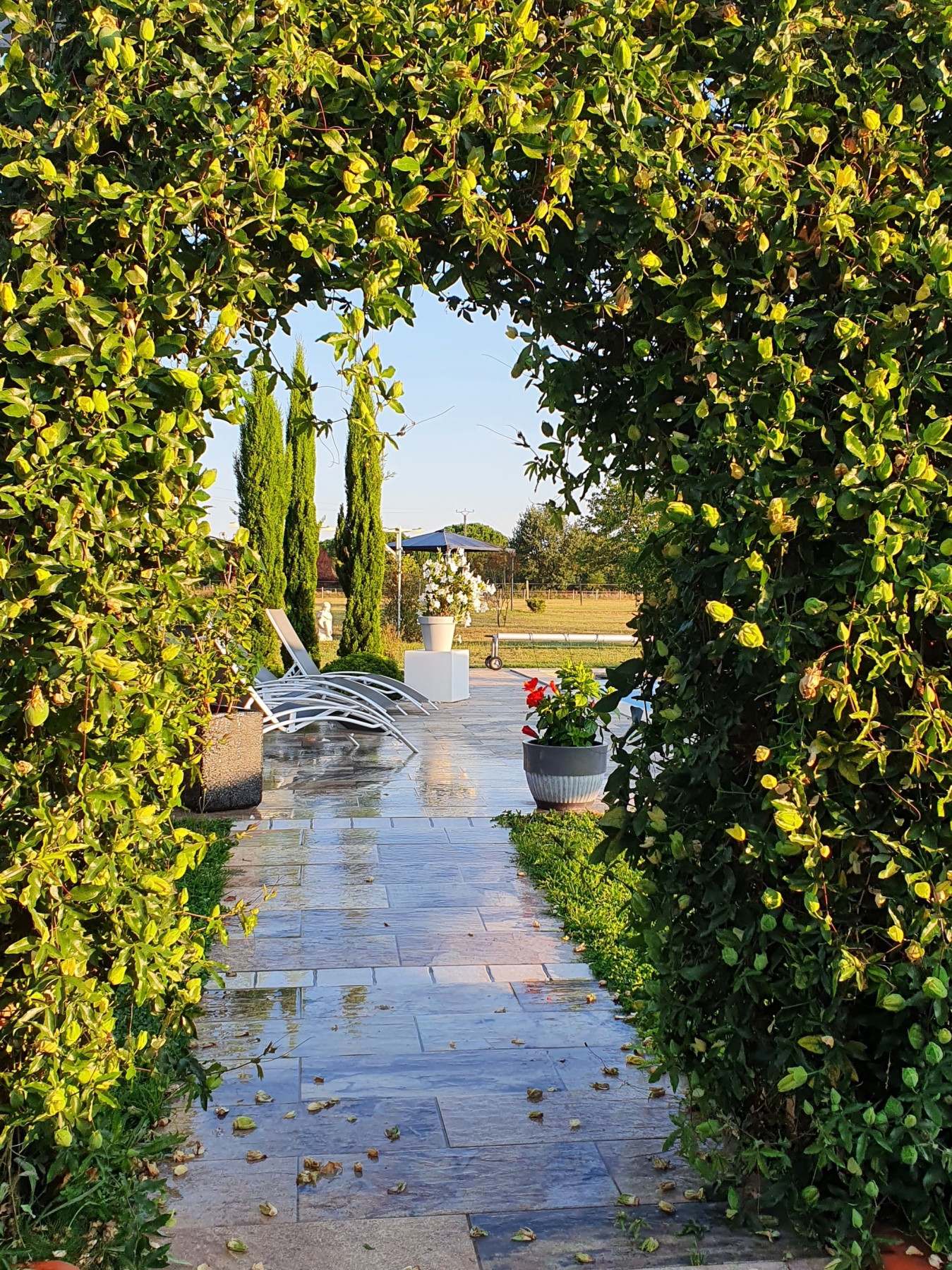jardin